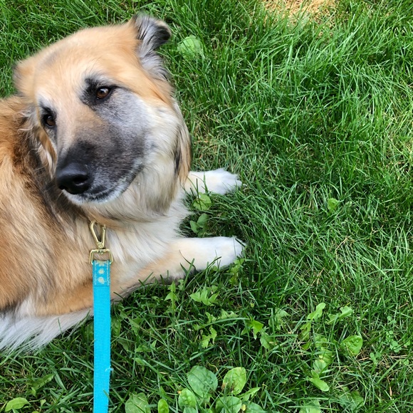 Meet your Posher, Jazz - Picture 1 of 1